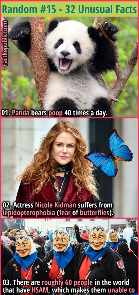 popular celebrity famous science Random Useless Facts, Mind Blowing Thoughts, Panda Animal, Fact Republic, Unusual Facts, Panda Bears, Foundation Application, Wow Facts, Animal Cute