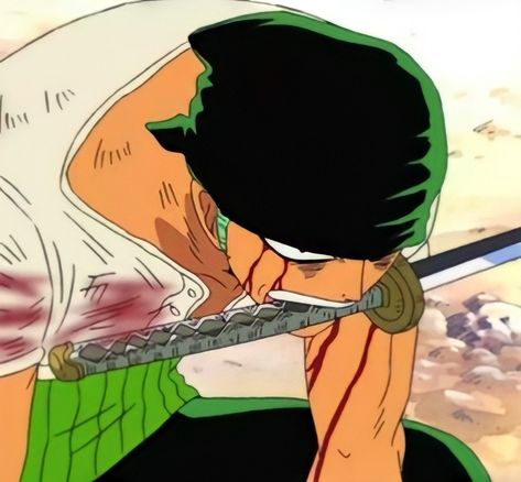 Roronoa Zoro Pre Time Skip, Time Skip, Zoro One Piece, One Piece Drawing, Roronoa Zoro, Noragami, Anime Life, Art Logo, Anime Icons