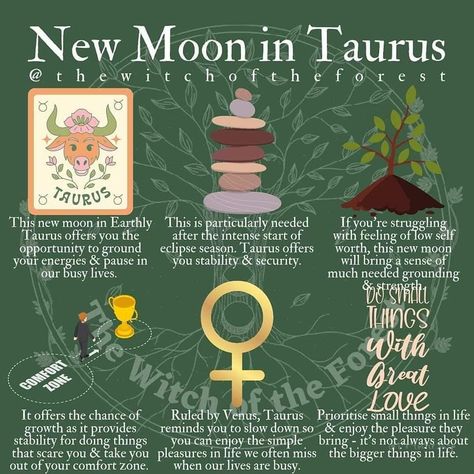 Moon Spells, Taurus Zodiac Facts, New Moon Rituals, Full Moon Ritual, Taurus Zodiac, Busy Life, Ancient Symbols, New Moon, Zodiac Facts