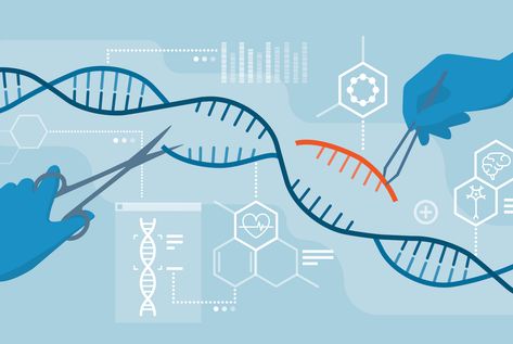 The advancements in genetic engineering, particularly with the advent of CRISPR-Cas9 technology, have opened a new chapter in biomedicine… Continue reading on Medium » Gene Editing, Human Embryo, Dna Sequence, Genetic Engineering, Gene Therapy, Editing Tools, Biotechnology, Microbiology, Genetic