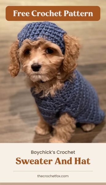 Make this adorable set of crochet dog sweater with a matching crochet dog hat that will make your bestfriend look extra cute and feel extra warm.This easy crochet pattern is available in four sizes and makes for a great crochet project for beginners who would like a little more challenge.| More free crochet patterns at thecrochetfox.com Crochet Toy For Dog, Crochet Dog Clothes Free Pattern, Dog Beanie Crochet, Dog Beanie Pattern, Dog Hat Crochet Pattern, Crochet Dog Accessories, Crochet Dog Hat Free Pattern, Crochet Project For Beginners, Dog Hat Crochet