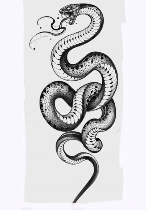 Sketch Snake, Rattlesnake Tattoo, Black Snake Tattoo, Japanese Warrior Tattoo, Snake Sketch, Mouth Tattoo, Japanese Snake Tattoo, Medieval Tattoo, Snake Tattoo Design