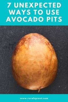 Who knew you could do so much with the seed of an avocado? Eating Avocado Benefits, Avacodo Tree From Seed, What To Do With Avocado Seeds, Benefits Of Avocado Seeds, Avocado Seed And Alcohol For Pain, How To Grow Avacoda From Seed, Avocado Seed Growing How To, Avocado Seed Tea Benefits, Avocado Seed And Rubbing Alcohol