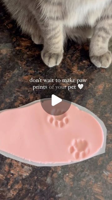 Liam (clingy cat) & Julia on Instagram: "easy paw print DIY 🐾 recipe by @the.fantastic.furr - check out their page for all the instructions! 💗

would you try this?

#pawprints #catlover #catsofinstagram #cutecat #petDIY #DIY #petcraft #orangecat #catenrichment" Cat Prints Paw, Diy Gifts For Pet Lovers, Pet Paw Print Art Diy, Paw Print Clay Diy, Diy Cat Crafts, Cat Paw Print Art, Diy Dog Paw Print, Paw Print Art Diy, Paw Print Diy