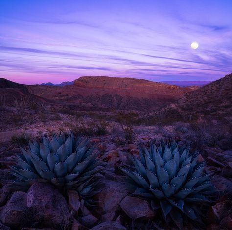 New Mexico Landscape Photography, Mexico Landscape Photography, New Mexico Garden, New Mexico Mountains, New Mexico Aesthetic, Mexico Mountains, New Mexico Photography, New Mexico Landscape, Native American Photography