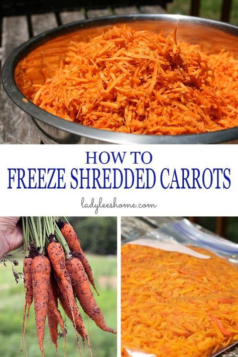 How to Freeze Shredded Carrots - a step-by-step tutorial. I freeze it in portions according to my carrot cake recipe so it's super easy to make carrot cake later. #howtofreezeshreddedcarrots #howtopreservecarrots #carrotrecipes Freeze Shredded Carrots, Preserving Carrots, Garden Preservation, Prepper Skills, Freezing Carrots, Freeze Fruit, Chicken Processing, Freeze Food, Preserving Vegetables