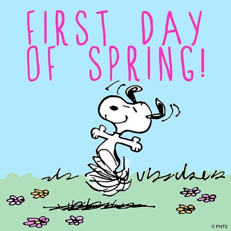 Happy Spring Day, 1st Day Of Spring, Cute I Love You, Happy Quote, Quote Pictures, Spring Quotes, Peanuts Cartoon, Letter Boards, Spring Pictures