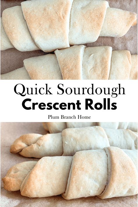 These beginner-friendly sourdough crescent rolls are flaky and can be made with sourdough discard! They're super easy to whip up and don't take a lot of time. Instead of getting Pillsbury canned crescent rolls make them at home with your starter. You'll save money and protect your body from harmful ingredients! Gluten Free Sandwich Bread Recipe, Homemade Crescent Rolls, Quick Rolls, Sourdough Rolls, Homemade Sourdough Bread, Croissant Recipe, Crescent Roll Recipes, Crescent Roll Dough, Sourdough Discard