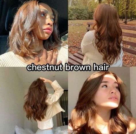 Check out our hair color board for more hair color ideas and hair color inspiration comment and follow for more Chestnut Brown Hair On Tan Skin, Brown Hair For Tan Skin, Hair Colour Ideas For Pale Skin, Tan Skin Hair Color Ideas, Hair Colors For Tan Skin, Hair Colors For Pale Skin, Hair Color For Pale Skin, Hair Color For Tan Skin, Pale Skin Hair Color