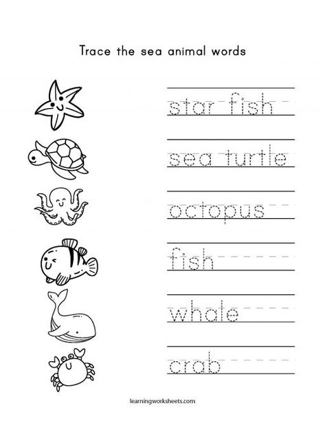 Animals In The Sea Preschool, Sea Life Worksheets Preschool, Ocean Life Worksheets Preschool, Sea Animals For Preschoolers, Jellyfish Worksheets Preschool, Ocean Animals Preschool Free Printable, Aquarium Worksheets For Kids, Sea Animals Worksheets For Preschool, Sea Animal Worksheets Preschool