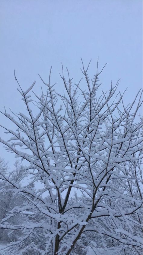 Snowfall Aesthetic, Cold Fingers, Snowy Trees, Snowy Winter, Cute Poses For Pictures, Winter Aesthetic, Winter 2023, Cute Poses, Winter Landscape