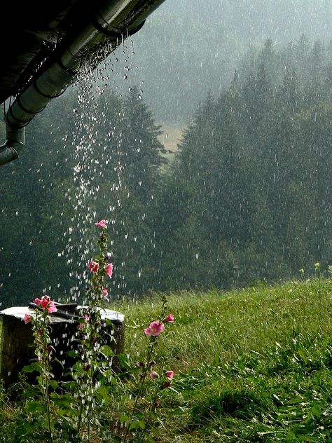 Mountains The Downpour Rain Mersa - Free photo on Pixabay Rainy Day Photography, Beautiful America, Smell Of Rain, I Love Rain, Rain Wallpapers, Belle Nature, Love Rain, Photographie Inspo, Singing In The Rain