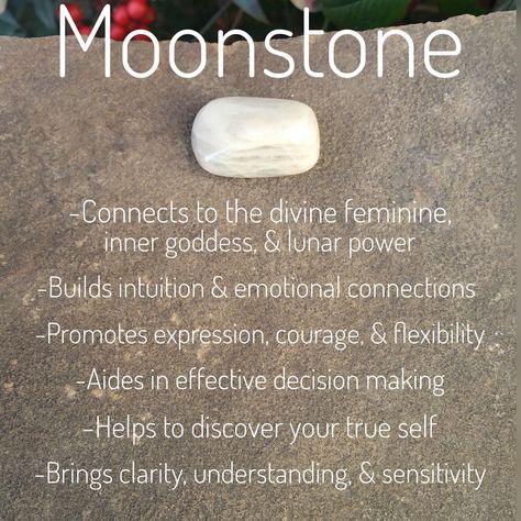 Moonstone is powerful & gentle at the same time. It connects to the power, intuition, & sensitivity of the moon & the divine feminine within each of us. It strengthens, nurtures, & protects. 🌛🌚🌜 Moon Stone Meaning, Moonstone Meaning, Moonstone Healing Properties, Crystal Bible, Crystal Benefits, Witchcraft Crystals, Shiny Rocks, Crystal Work, Sea Goddess