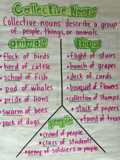 L.2.1 collective nouns Noun Project Ideas, Collective Nouns Activities, Nouns Worksheet, Collective Nouns, Teaching English Grammar, Teaching Grammar, Learn English Grammar, English Writing Skills, Grammar Lessons