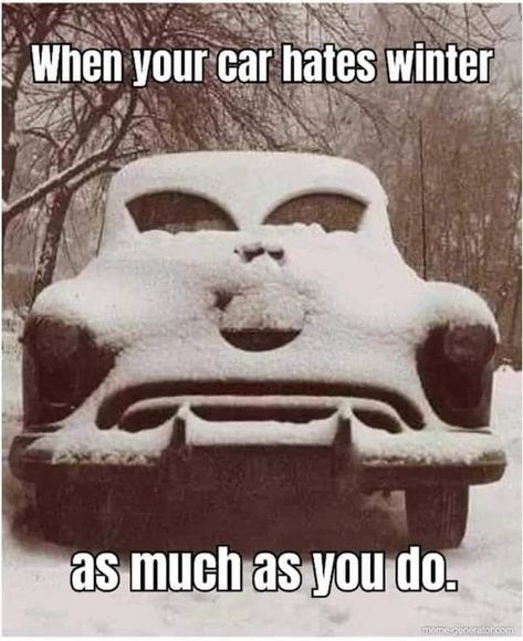 Snow Funny Humor, Cold Weather Funny, Cold Weather Quotes, Winter Jokes, Snow Humor, Bad Drivers, Daily Jokes, 10 Funniest, Memes Sarcastic