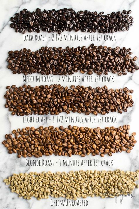 Coffee Content, Sustainable Coffee, Types Of Coffee Beans, Coffee Infographic, Types Of Coffee, Coffee Guide, Coffee Facts, Coffee Varieties, High Ground