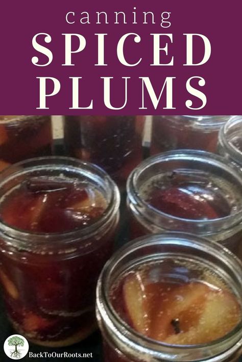 CANNING SPICED PLUMS: Cinnamon and cloves take these plums over the top! Eat them cold, warm, or baked into a cobbler. Come wintertime, you'll be glad you made some today! Spiced Plums, Canning Plums, Canning Granny, Canned Plums, Food Preserving, Canning 101, Canning Fruit, Plum Recipes, Canning Tips