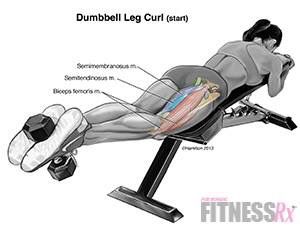 Hamstring curls Hamstring Curl, Lying Leg Curls, Hamstring Workout, Hamstring Curls, Leg Curl, 30 Minute Workout, Gym Inspiration, Workout Guide, Lower Body Workout