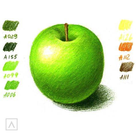 How To Colour Drawing, Things To Draw Colour, Color Pencil Reference, Fruit Drawing Pencil Color, Sketch With Color Pencil, How To Color Realistically, Realistic Fruit Drawing Colored Pencils, Coloured Drawing Ideas, Drawing With Colored Pencils Ideas