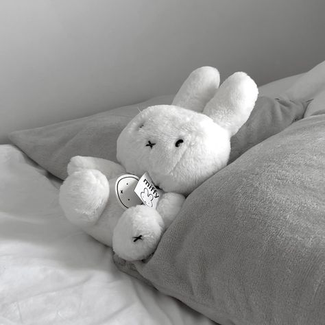 Miffy Plush, Stuffed Animal, Grey, White