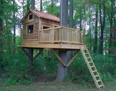 Treehouse Playhouse, Safari Project, Treehouse Design Architecture, Deck Around Trees, Tree House Playground, Complete House Renovation, Shooting House, Tree House Interior, Simple Tree House