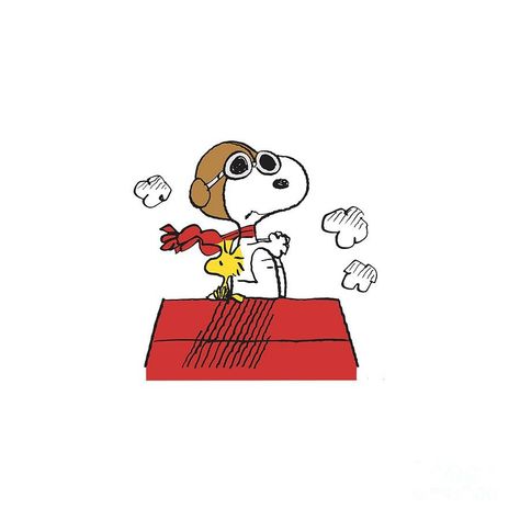 Snoopy Cool Joe, Snoopy Flying A Plane, Snoopy Png Icon, Snoopy Plane, Snoopy Airplane, Pilot Snoopy, Woodstock Flying, Snoopy Widget, Snoopy Costume