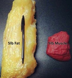 I love this comparison!  Great illustration of the difference between lean pounds vs fat pounds! Fat Vs Muscle, 5 Lbs Of Fat, Lose 5 Pounds, Pound Of Fat, Lose 20 Pounds, Get Healthy, Fat Loss, Healthy Living, Fitness Motivation