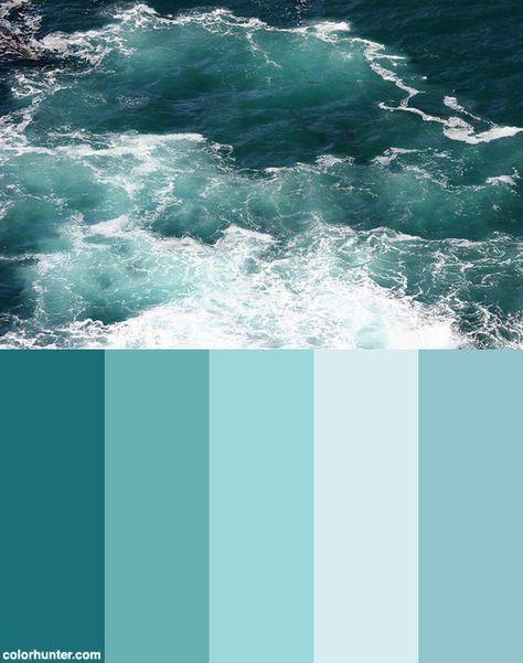 Tiffany Blue Color Palette, Color Palette For Home, Turquoise Color Scheme, Color Tiffany, Tiffany Color, Tiffany Blue Color, Coastal Colors, Nature Color Palette, Ocean Colors