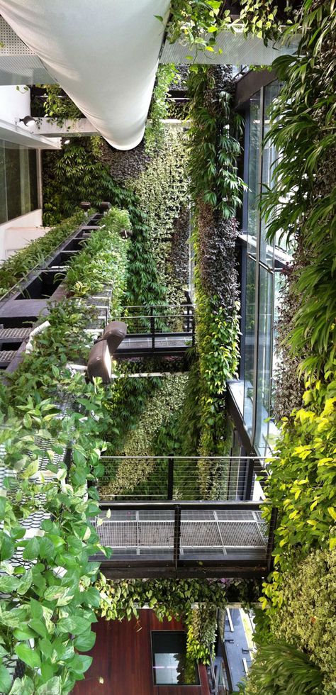 An Unexpected Hanging-Garden | Singapore | AgFacadesign & Tierra Design « World Landscape Architecture – landscape architecture webzine Green Facade, Desain Lanskap, Plants Growing, Garden Architecture, Green Architecture, Have Inspiration, Design Landscape, Hanging Garden, Sustainable Architecture