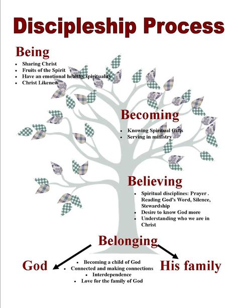 discipleship process - Google Search | Sharing the Gospel ... Discipleship Quotes, Learn The Bible, Bible Topics, Bible Study Topics, Attracting Wealth, Understanding The Bible, Womens Bible Study, Bible Study Notebook, Wealth And Abundance