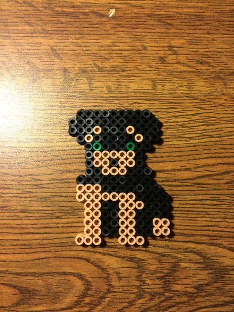 Rottweiler | Perler beads designs, Pearl beads pattern, Perler beads Ironed Beads, Melt Beads Patterns, Hamma Beads Ideas, Perler Creations, Melty Bead Patterns, Pearl Beads Pattern, Easy Perler Beads Ideas, Beads Pattern, Hamma Beads