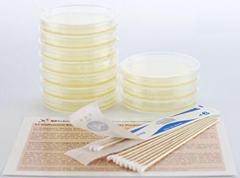 EZ BioResearch Bacteria Science Kit IV Top Science Fair Project Kit Prepoured LBAgar Plates And Cotton Swabs Exclusive Free Science Fair Project EBook Packed With Award Winning Experiments *** Click image to review more details. Science Fair Project, Petri Dishes, Kid Experiments, Petri Dish, Science Toys, Fair Projects, Cotton Swabs, Science Fair Projects, Science Kits