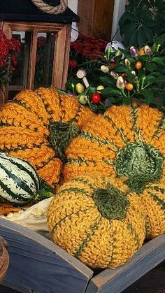 Farmhouse Fall Decor Diy, Crochet Cardigan Ideas, Crochet Spider Web, Crocheted Pumpkins, Cardigan Ideas, Crochet Fall Decor, Crochet Spider, Thanksgiving Crochet, Pumpkin Patterns