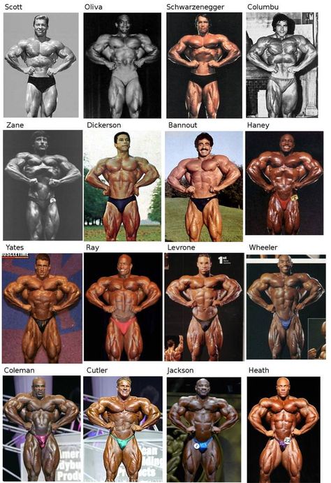 Evolution of Mr. Olympia - gallery of all poses from legendary bodybuilders - Album on Imgur Old Bodybuilder, Best Bodybuilder, Bodybuilding Pictures, Bodybuilding Workout Plan, Muscle Anatomy, Bodybuilding Workout, Mr Olympia, Model Aesthetic, Gym Workout For Beginners