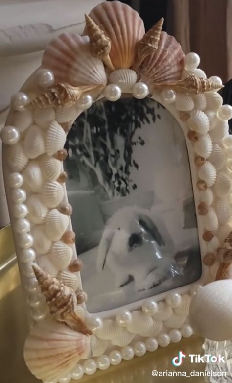 Mermaid, Shells, Frame