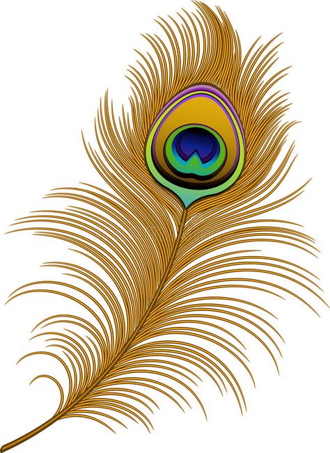 Peacock Feather Drawing, Feather Clip Art, Peacock Feather Art, Peacock Images, Feather Drawing, Feather Vector, Peacock Wall Art, Guru Ji, Peacock Painting