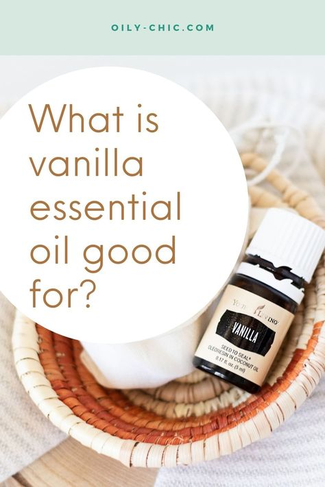 Check out our fun list of vanilla essential oil uses and DIYs at Oily Chic! Vanilla Patchouli Essential Oil Blend, Vanilla Essential Oil Blends Perfume Recipes, Diy Vanilla Essential Oil, Vanilla Essential Oil Benefits, Vanilla Essential Oil Blends, Oily Chic, Essential Oils Benefits, Essential Oil Lip Balm, Essential Oil Blends Roller