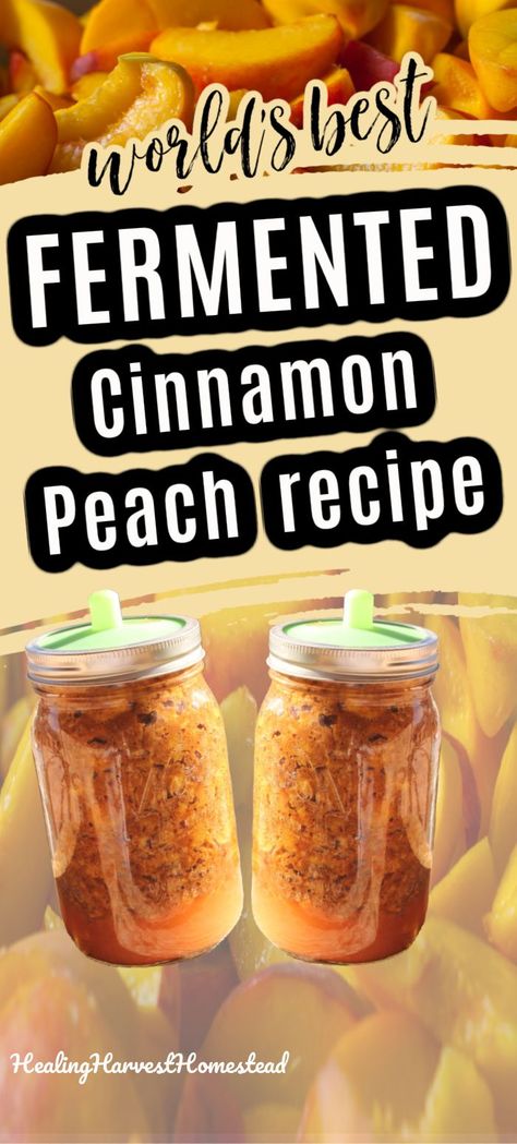 Fermenting Crock Recipes, Fermented Fruit Recipe, Healthy Easy Recipe, Fermented Vegetables Recipes, Pickled Peaches, Kombucha Recipe, Homemade Kombucha, Peach Syrup, Fermentation Recipes