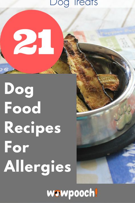 Homemade Meals For Dogs With Allergies, Homemade Dog Food For Allergies, Recipes For Allergies, Foods Dogs Can Eat, Best Puppy Food, Animal Treats, Pets Stuff, Diy Dog Food, Make Dog Food