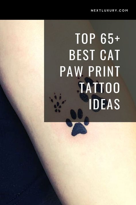 Cat paw ink reflects what inspires the wearer, whether it’s the eccentric, inquisitive house cat, or pouncing King of the Jungle. Symbolism and style are linked to the behavior or characteristics that resonate or remind you of the animal. #nextluxury #catpawprinttattoo #catpawtattoos #catpawtattoodesign #catpawprinttattooideas Realistic Cat Paw Tattoo, Cat Paws Tattoo Ideas, Cat Tattoo With Paw Prints, Cats Paws Tattoo, Tattoo Ideas Cat Paw, Pet Paw Print Tattoo Placement, Cat Paw Print Tattoo Placement, Tiny Paw Print Tattoo Cats, Paw Print Initial Tattoo