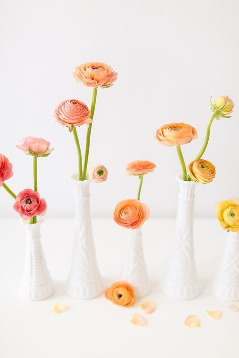 All About Ranunculus | Care & Conditioning Tips | Hand Holding Yellow Ranunculus in Vintage Milk Glass Vases on a White Background | JustineCelina.com Ranunculus Wedding, Yellow Ranunculus, Milk Glass Vases, Hybrid Tea Roses, Pink Garden, Flower Care, Hand Holding, Glass Vases, Table Flowers