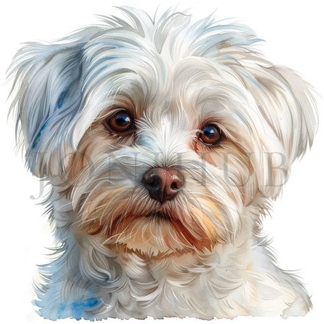 Dog Painting Pop Art, Puppy Clipart, Grooming Style, Puppy Art, Dog Clipart, Dog Photograph, Shih Tzu Dog, Lap Dogs, Fluffy Dogs