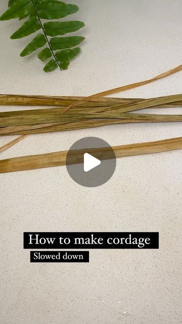 Forage_from_nature on Instagram: "For those that requested a slower version of how to make cordage, here it is.  The fibres I used to make this cordage was chasmantha floribunda.  #cordage #cordagemaking #naturalfibres #chasmanthafloribunda #naturalfibers #naturalfibrecordage #foraged_from_nature #foragedfromnature" How To Make Natural Cordage, Making Cordage From Plants, How To Make Cordage, Cordage Diy, Foraged Crafts, Diy Nature Crafts, Coil Weaving, Chill Hip Hop, Lofi Chill