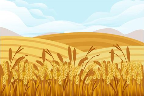 Wheat Field Background, Corn Field Illustration, Wheat Field Illustration, Crops Illustration, Rural Illustration, Horizontal Banner Design, Wheat Illustration, Wheat Drawing, Land Illustration