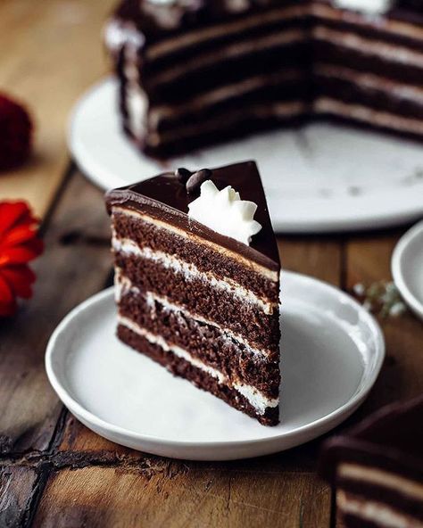 “...have yourself a slice of this Chocolatey Coffee Layer cake by @alsothecrumbsplease” Chocolate Coffee Cake Recipes, Chocolate Coffee Cake, Chocolate Espresso Cake, Chocolate Mousse Cake Recipe, Ultimate Chocolate Cake, Chocolate Cake With Coffee, Mousse Cake Recipe, Cake Mini, Chocolate Layer Cake