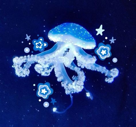 Ocean Themed Widgets, Jellyfish Phone Case, Cool Sea Creatures, Jellyfish Pictures, Aquatic Art, Sea Jellies, Fish Icon, Photo Widget, Widget Ideas