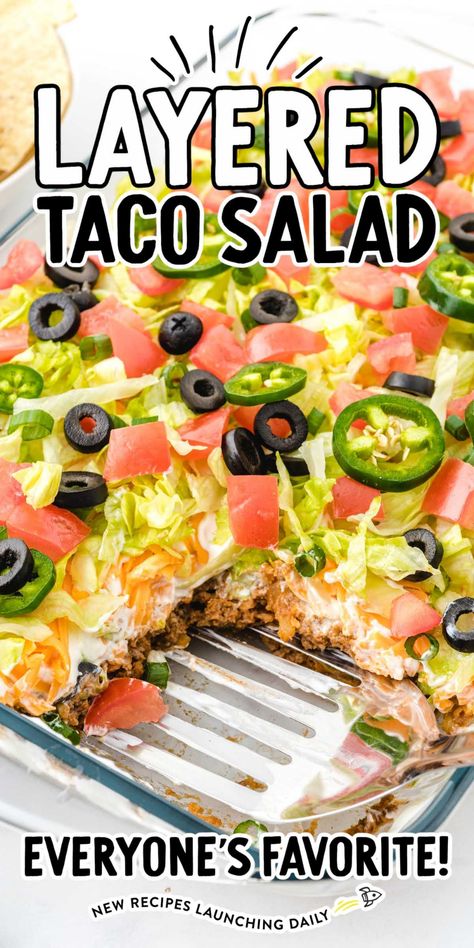 Taco Salad Appetizer, Midwestern Taco Salad, Easy Taco Salad Cups, Taco Salad Dinner, Taco Layer Bake, Layered Chicken Taco Salad, Taco Salad Potluck, Layered Taco Salad In A Cake Pan, Seven Layer Taco Salad Recipe