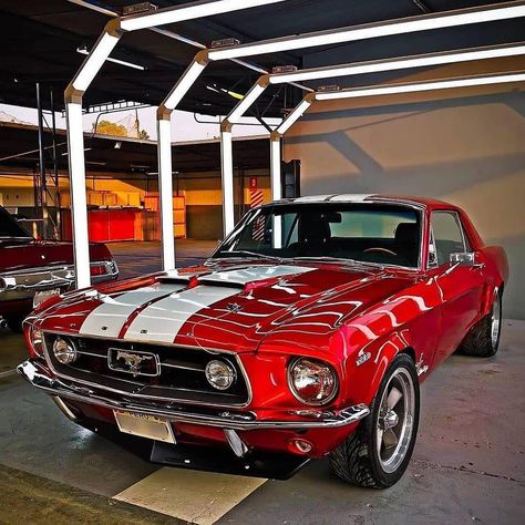 Mustang 67, 67 Ford Mustang, Mobil Mustang, Ford Mustang Classic, Ford Mustang Shelby Cobra, 67 Mustang, Red Mustang, Vintage Mustang, Classy People