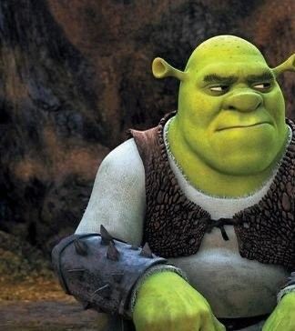 Matching Shrek Pfps, Shrek Matching Wallpapers, Shrek And Donkey Matching Pfp, Shrek Matching Pfp, Shrek Pfp, Burro Shrek, Blank Comic Book, Disney Cartoon Characters, Wacky Hair