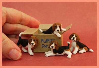 *NEEDLE FELTED ART Mini Beagle, Beagle Puppies, Needle Felted Dog, Animal Model, ดินปั้น Polymer Clay, Felt Dogs, Beagle Puppy, Felting Tutorials, Miniature Animals